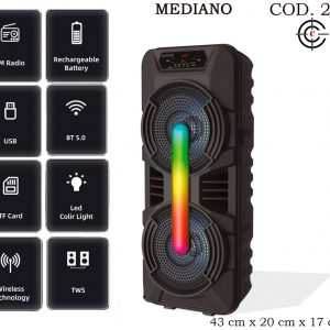 COD-223 PARLANTE LED MEDIANO